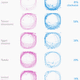 Image for article titled How do you draw a circle? We analyzed 100,000 drawings to show how culture shapes our instincts